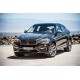 Защита, пороги и накладки для BMW X6